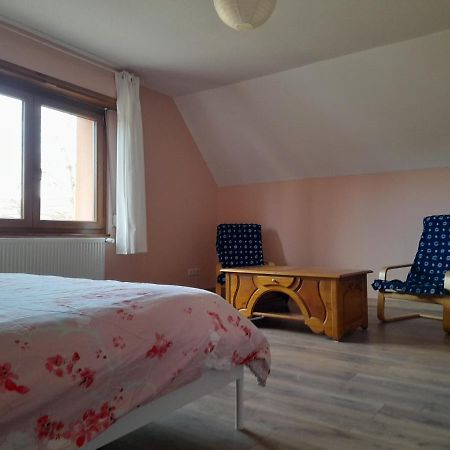 Appart 4 Pers Refait Neuf 90M2 Avec Balcon Baldenheim Exterior foto
